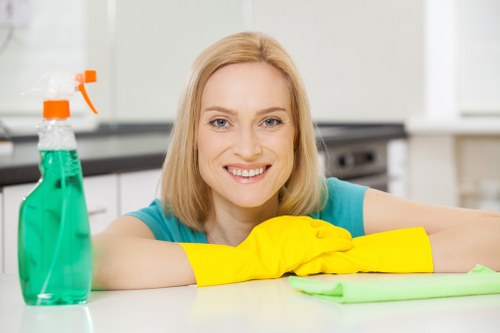 Waste removal and property clearance service in Kennington