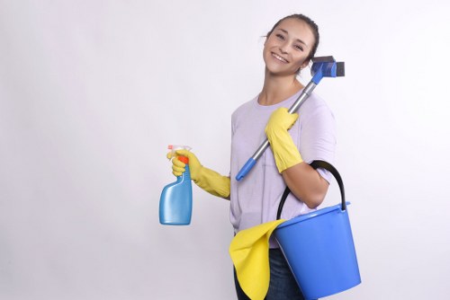 Expert carpet maintenance and stain treatment in a local property