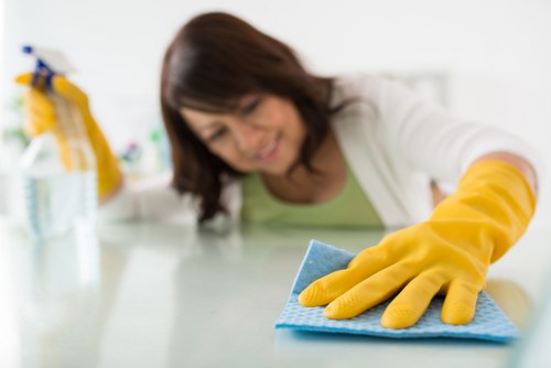 Technician using steam cleaning equipment on a carpet