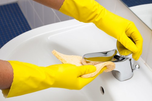 Eco-friendly oven cleaner in Kennington working in a modern kitchen